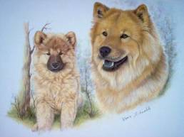 Eurasier Bella Luna - Gemaelde in Pastellkreide (2004 gemalt von Karin Schnabl